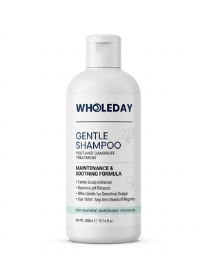WHOLEDAY After Treatment Shampoo